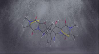 Verticillins: fungal epipolythiodioxopiperazine alkaloids with chemotherapeutic potential