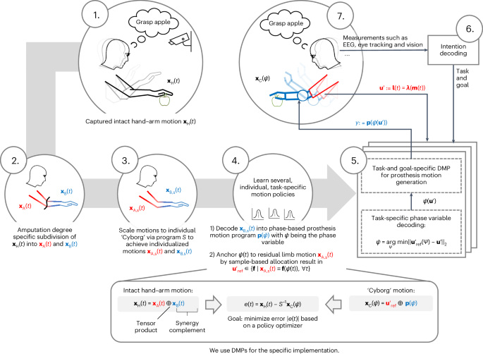 The synergy complement control approach for seamless limb-driven prostheses