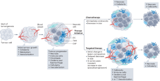 Multiparametric MRI for characterization of the tumour microenvironment