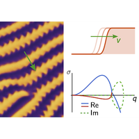 Nonreciprocal Pattern Formation of Conserved Fields