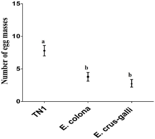 Volatolomics to Decrypt the Monophagous Nature of a Rice Pest, Scirpophaga Incertulas (Walker)