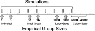 The impact of honey bee (Apis mellifera) group size on hygienic behavior performance