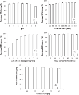 Adsorption characteristics and mechanisms of ciprofloxacin on polyanion-modified laterite material