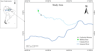 Assessing dam-induced alterations in an Amazonian tributary using river flow health index and planform parameters