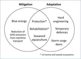 Integration of climate change mitigation and adaptation in Blue Economy planning in Africa