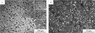 Effect of T6 and T6I4 Aging Treatments on Microstructure and Compressive Properties of Aluminum Metal Matrix Composites Reinforced by SiCw Via Squeeze Casting