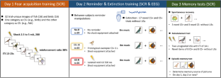 Conflict Dynamics of Post-Retrieval Extinction: A Comparative Analysis of Unconditional and Conditional Reminders Using Skin Conductance Responses and EEG