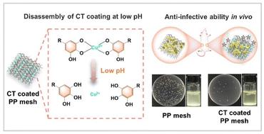 pH-Responsive antibacterial metal–phenolic network coating on hernia meshes†