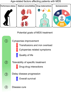 Treatment of Myelodysplastic Syndromes for Older Patients: Current State of Science, Challenges, and Opportunities