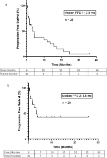 A Phase I Trial Evaluating the Addition of Lenalidomide to Patients with Relapsed/Refractory Multiple Myeloma Progressing on Ruxolitinib and Methylprednisolone