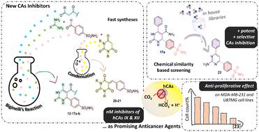 Benzenesulfonamide decorated dihydropyrimidin(thi)ones: carbonic anhydrase profiling and antiproliferative activity†