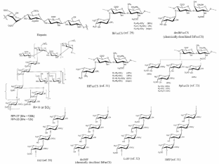 Marine sulfated glycans inhibit the interaction of heparin with S-protein of SARS-CoV-2 Omicron XBB variant