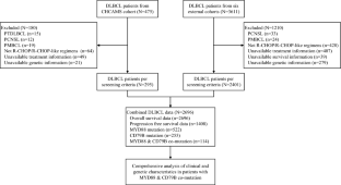 Deciphering the Prognostic Significance of MYD88 and CD79B Mutations in Diffuse Large B-Cell Lymphoma: Insights into Treatment Outcomes