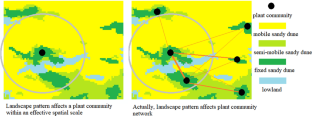 Landscape connection and patch complexity explain plant community similarity in sandy grasslands better than habitat amount and landscape heterogeneity via network analysis