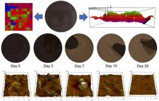 Influence of PET as single-use contact material on gloss and surface properties of chocolate