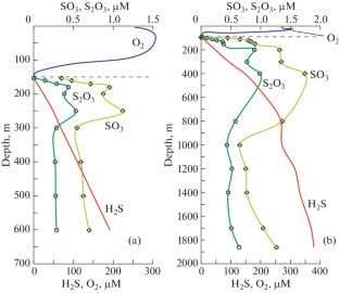 Vertical Distribution of Thiosulfate and Sulfite in the Black Sea