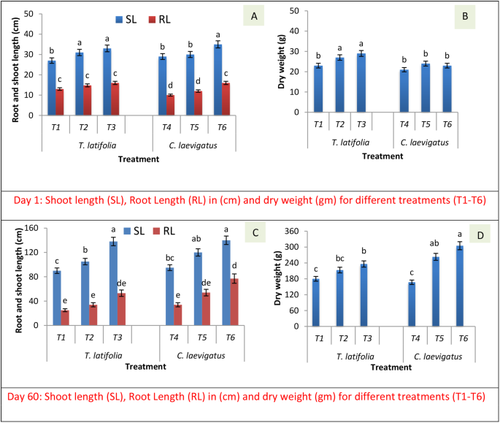 Nutrients, surfactants, and aeration in constructed wetlands affect bacterial persistence and metabolic activity during the remediation of crude oil-contaminated water