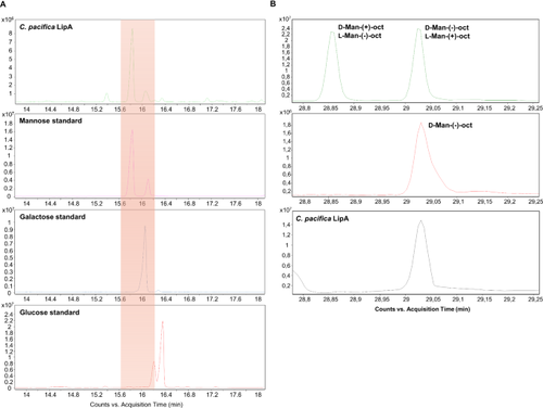 Increasing outer membrane complexity: the case of the lipopolysaccharide lipid A from marine Cellulophaga pacifica