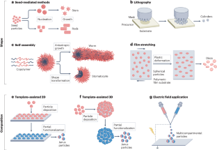 Nanoscale anisotropy for biomedical applications