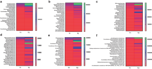 Application of Paclobutrazol Altered the Soil Bacterial Diversity and Richness of Mango Orchards: A Metagenomic Study