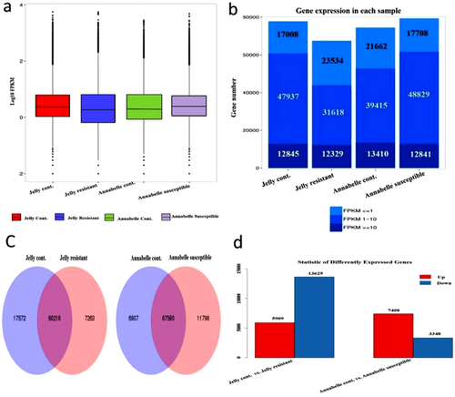 De novo assembly-based transcriptome analysis of resistant and susceptible potato varieties to Phytophthora infestans