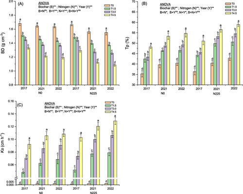 Long-term effects of biochar one-off application on soil physicochemical properties, salt concentration, nutrient availability, enzyme activity, and rice yield of highly saline-alkali paddy soils: based on a 6-year field experiment