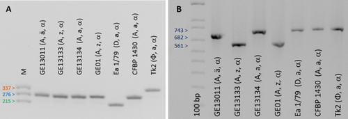 Genetic diversity of Erwinia amylovora isolates from fire blight diseased trees in Central and Eastern Georgia