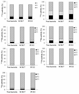 The Impact of Inoculation of Two Strains of Rhizobacteria on Radionuclide Transfer in Sesbania Grandiflora