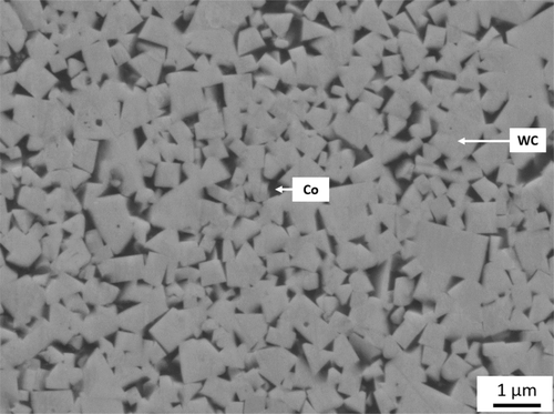 Fatigue crack growth of WC–Co cemented carbides: a comparative study using small indentation flaws and long through-thickness cracks