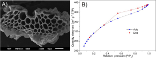 Adsorption of silver nanoparticles by activated carbon from Eragrostis plana Nees: kinetics, equilibrium, and catalytic application in the degradation of 4-nitrophenol