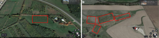 Understanding the Influence of Extreme Cold on Grapevine Phenology in South Dakota’s Dormant Season: Implications for Sustainable Viticulture