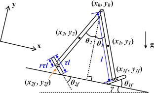 Controlling flat-foot limit cycle walkers with compliant joints based on local stability variation