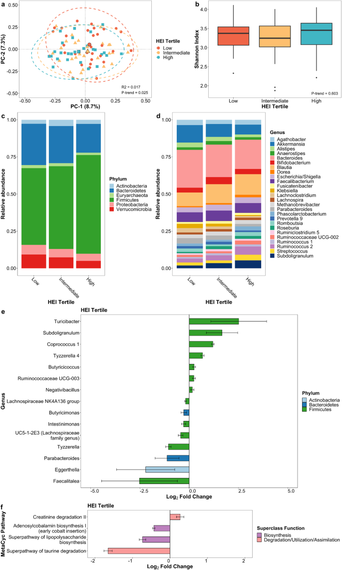 Diet and the gut microbiome in patients with Parkinson’s disease