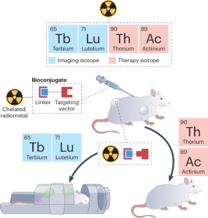 Harnessing the power of f-block elements in radiopharmaceuticals