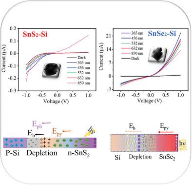 Self-Powered Broadband Photodetectors Based on Si/SnS2 and Si/SnSe2 p–n Heterostructures