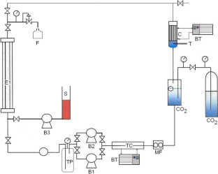 Coffee industrial residue: sequential high pressure extraction and conventional methods