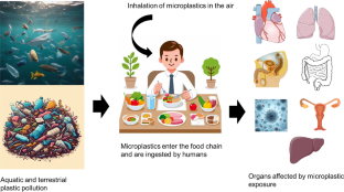 Health risk of human exposure to microplastics: a review