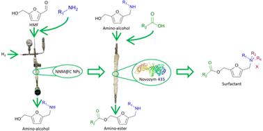 Chemoenzymatic synthesis of amino-esters as precursors of ammonium salt-based surfactants from 5-hydroxymethylfurfural (HMF)†‡