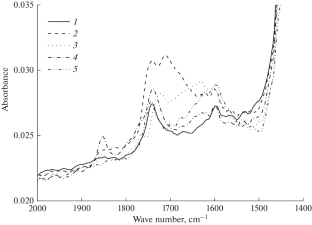 Kinetic Features of Plasma-Chemical Modification of Polyvinylidene Fluoride in Plasma