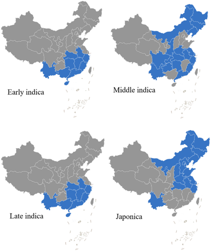 The impact of Chinese rice support policies on rice acreages