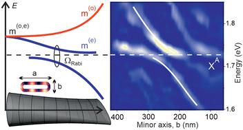 Direct observation of split-mode exciton-polaritons in a single MoS2 nanotube†