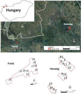 Challenges of Orthoptera conservation in grasslands with land use-determined sizes and structural heterogeneity