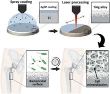 Laser-assisted surface alloying of titanium with silver to enhance antibacterial and bone-cell mineralization properties of orthopedic implants†