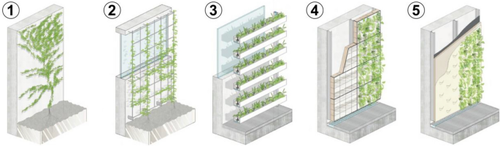 Fire Safety for Green Façades: Part 1: Basics, State-of-the-Art Research and Experimental Investigation of Plant Flammability