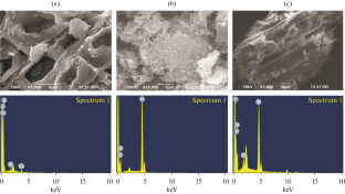 Investigation on Nanoarchitectonics of PJBAC/TiO2 for Photocatalytic and Antimicrobial Performance