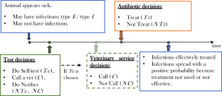 Economics of Informed Antibiotic Management and Judicious Use Policies in Animal Agriculture