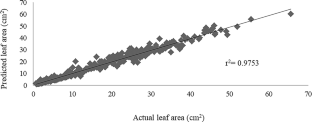 A Non-destructive Leaf Area Prediction Model and Some Physical Leaf Properties in Apples