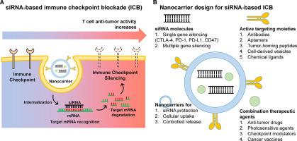 Advancing cancer immunotherapy through siRNA-based gene silencing for immune checkpoint blockade