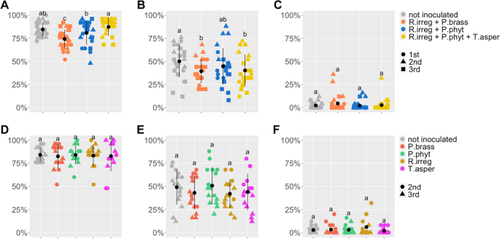 Inoculation and tracking of beneficial microbes reveal they can establish in field-grown potato roots and decrease blemish diseases