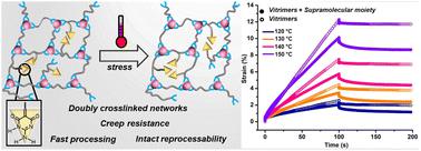 Creep resistance in doubly crosslinked dynamic covalent networks†